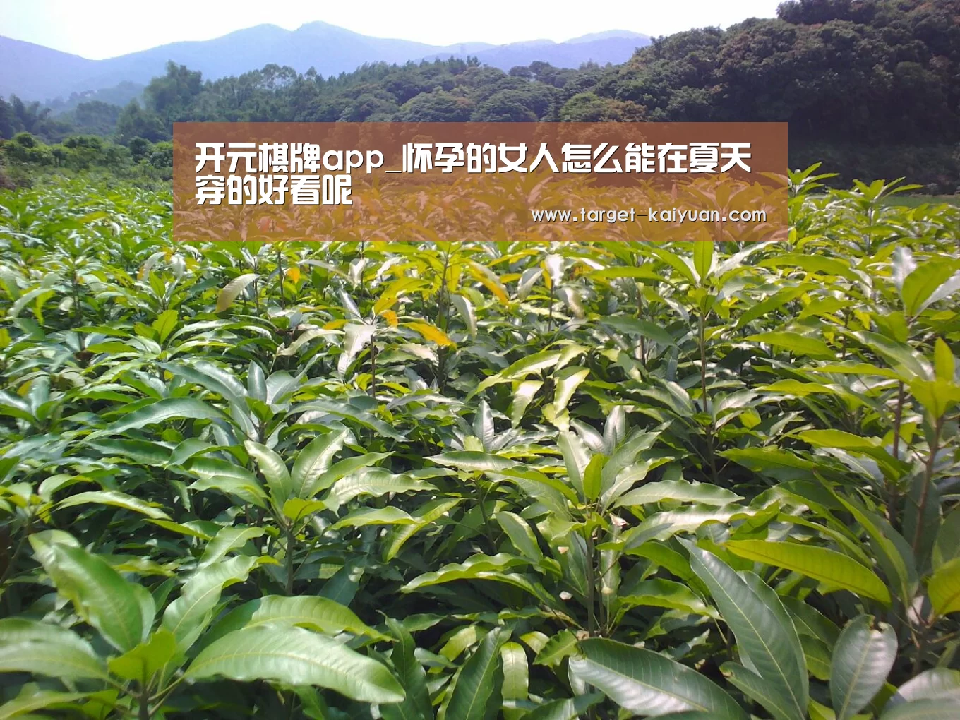 开元棋牌app