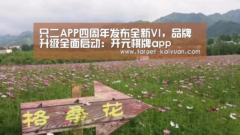 只二APP四周年发布全新VI,品牌升级全面启动:开元棋牌app(图2) 开元棋牌官网