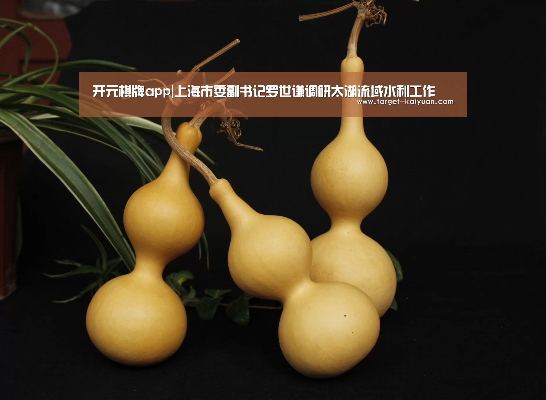 开元棋牌app|上海市委副书记罗世谦调研太湖流域水利工作(图3) 开元棋牌官网
